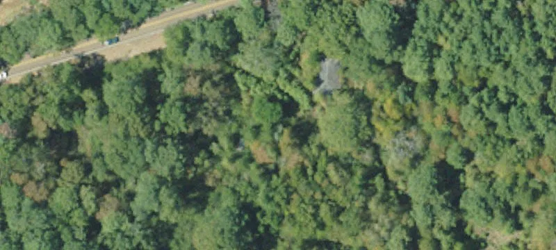 Pike County Land for Sale