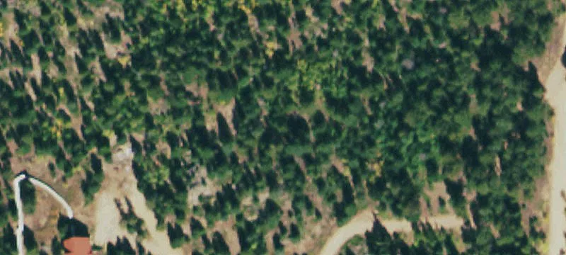 8-Acre Mountain View Land