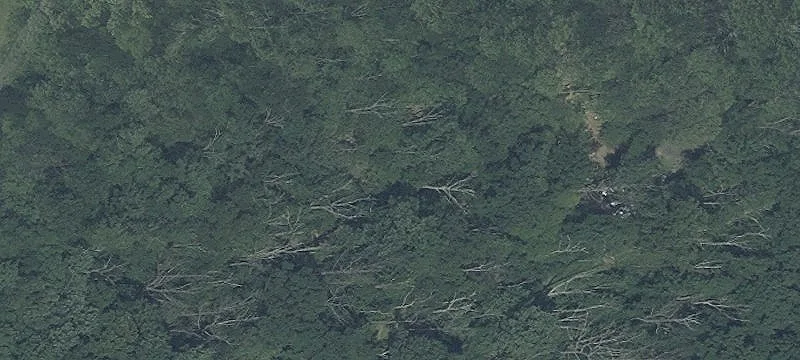 Exceptional Land Parcel in Mount Airy