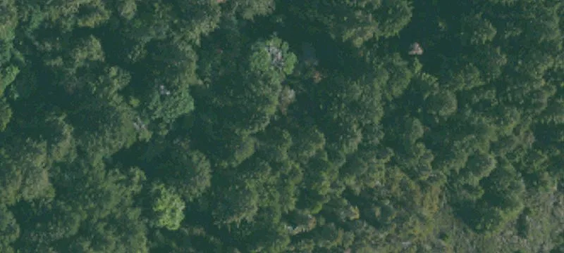Forest Knolls Hillside Parcel