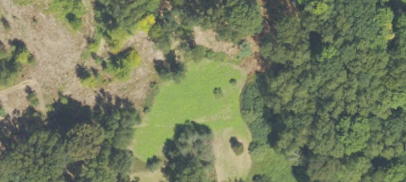 Land Near Manistee National Forest