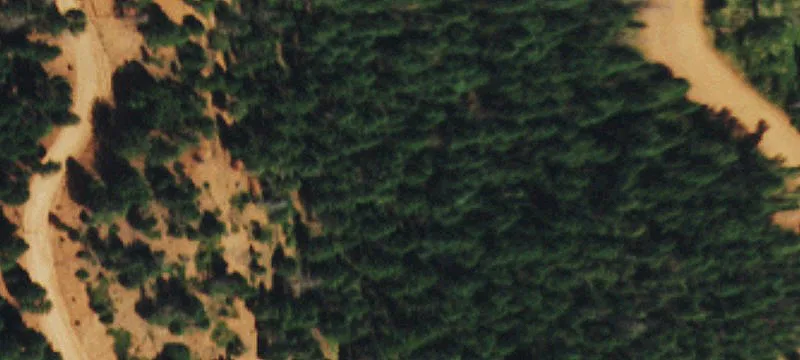 Larkspur Land with Mountain Views