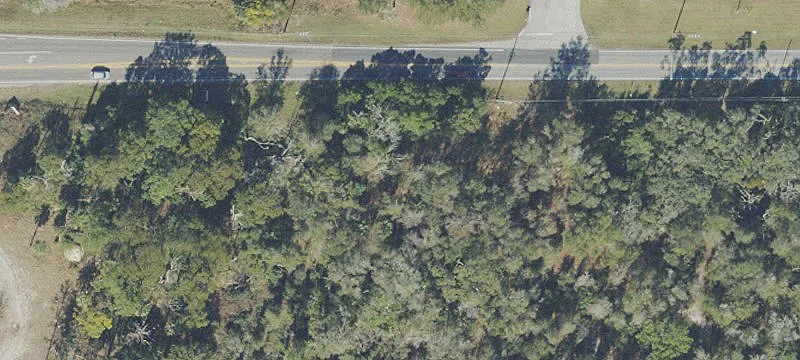 Vacant Lot in Dora Pines