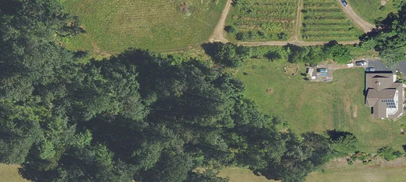 Stafford Area Land with Water