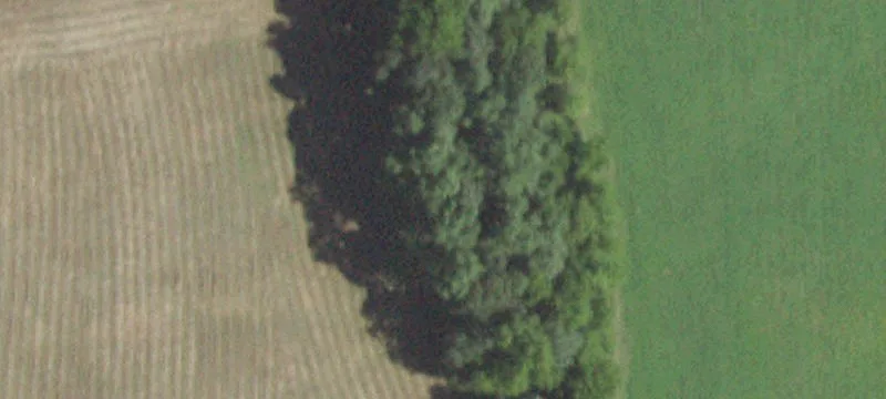 Farming Land with Conservation Easement