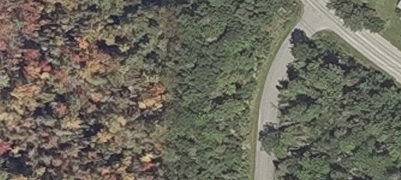 Wooded Lots in Bangor, Maine