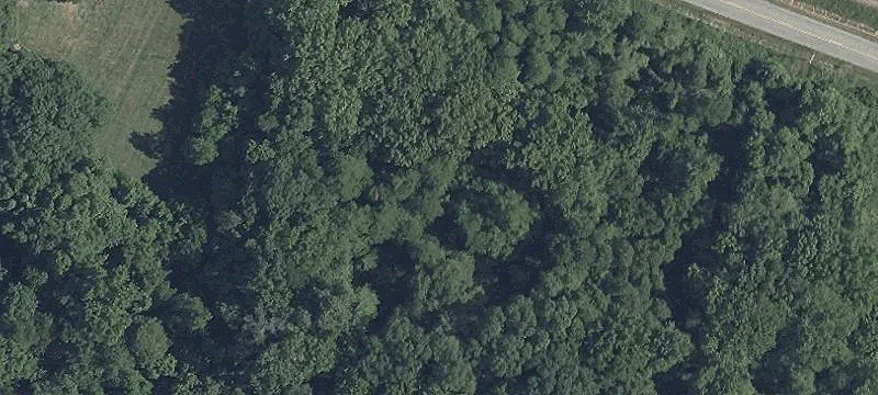 Wooded Lot Near Worton Creek