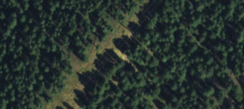 Buildable Ridgeline Lot in Homestead