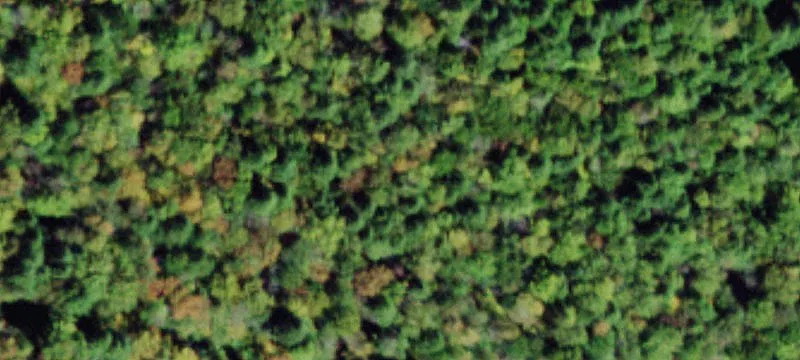 Land with River and Lake
