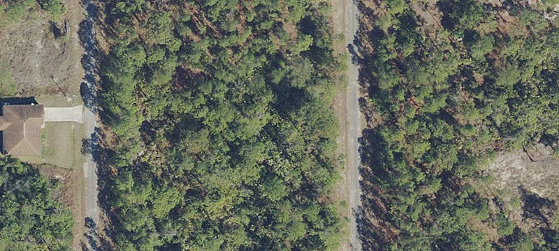 Residential Lot in Alva, Florida
