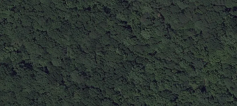 Land for Development or Compound