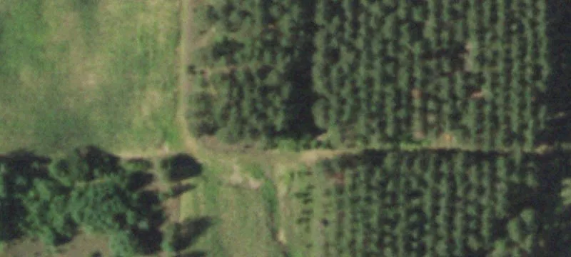 Adams County Hunting Land