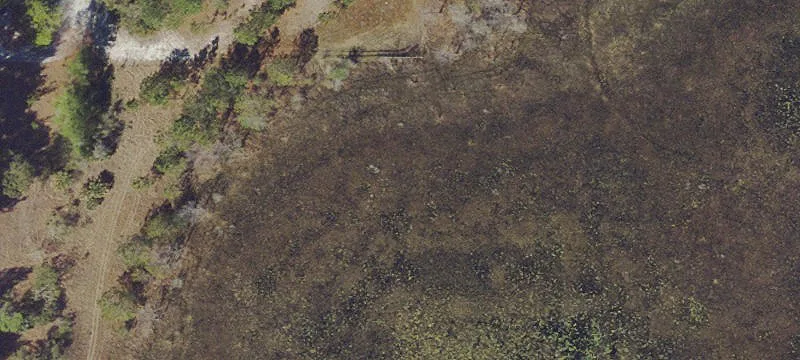 Residential Lot in Ocklawaha