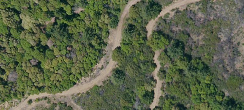 1,271-Acre Legacy Timberland Holding