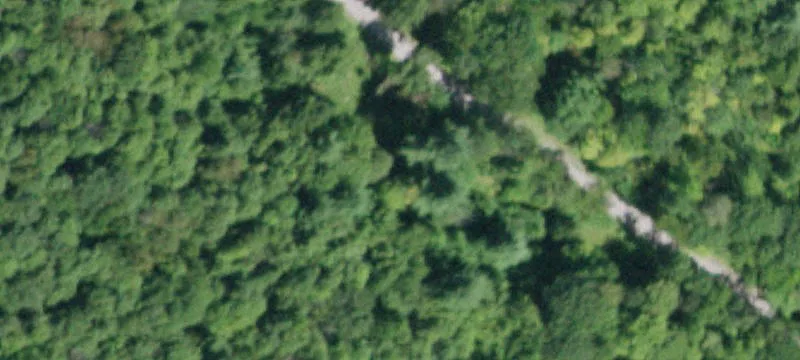 One-Acre Wooded Lot