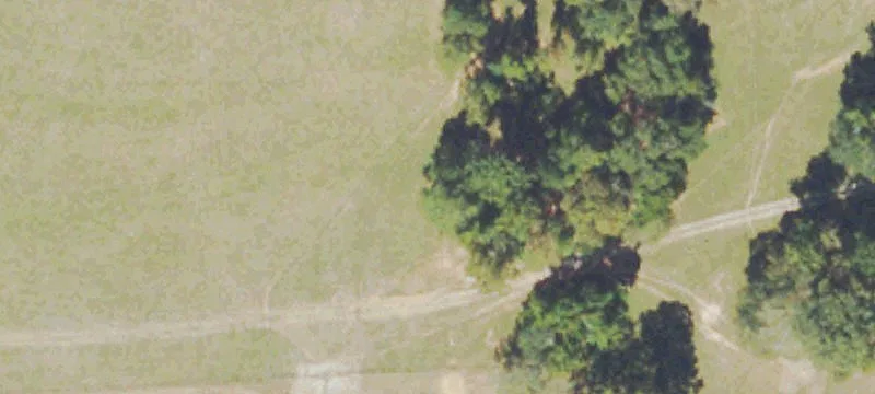 Versatile Acreage with Pasture and Potential