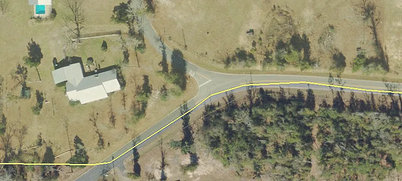 30 Acres of Planted Pines