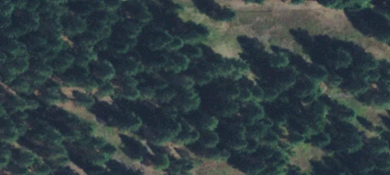 22.84 Acre Treed Land Parcel