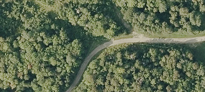 Milan 10-Acre Wooded Land