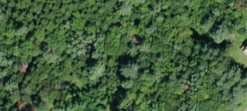 Catskills Land in Desirable Area