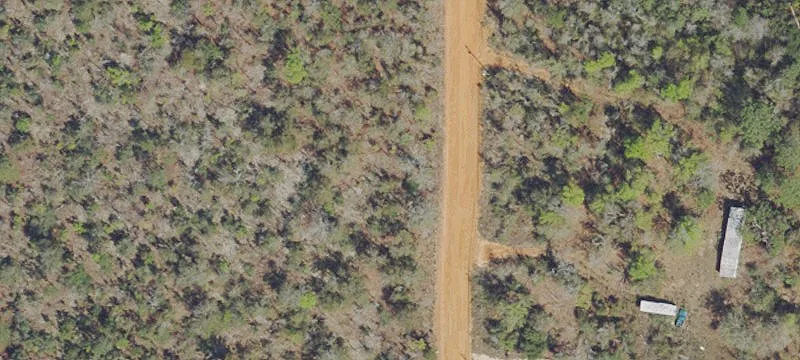 4.67 Acres Wooded Land
