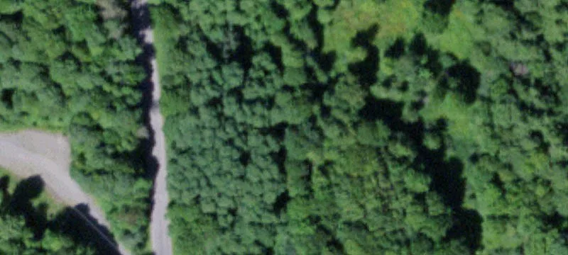 Chenango County Acreage with Creek