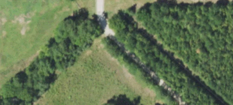 Wooded Acreage with Creek