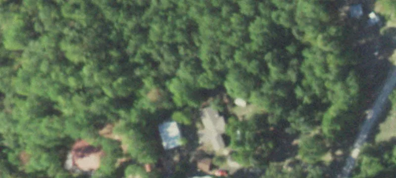 Rayburn Country Wooded Acreage