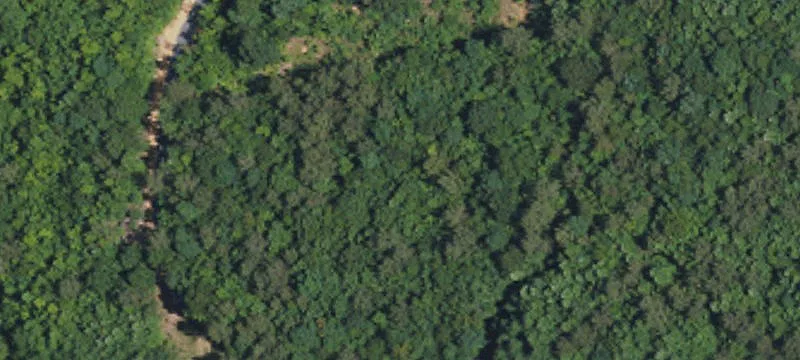 Randolph County 60-Acre Tract