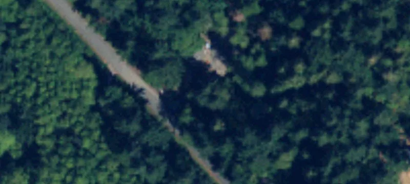 Private Treed Building Tract