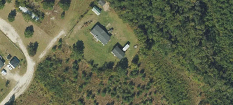 Eastern Carolina Woodlands for Recreation