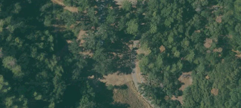 Usable Acreage with Fruit Trees