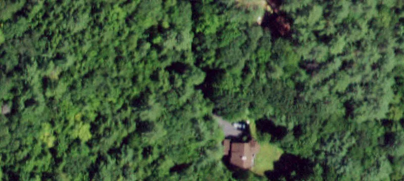 Wooded Lot Near Bolton Landing