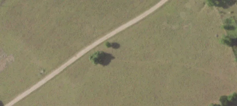 Austin County 24-Acre Property