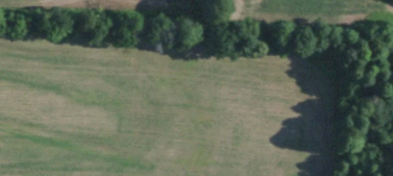 77.43 Acre Agricultural Parcel