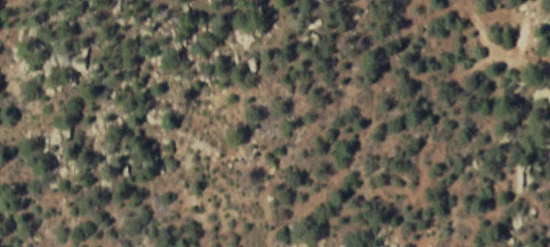 Pristine Land Bordering National Forest