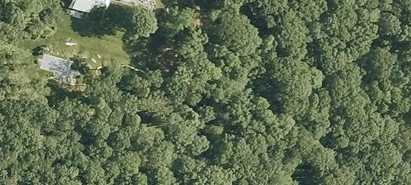 8+ Acre Lot Near Lake