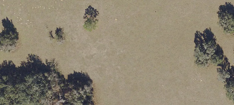 Citrus County Land Opportunity