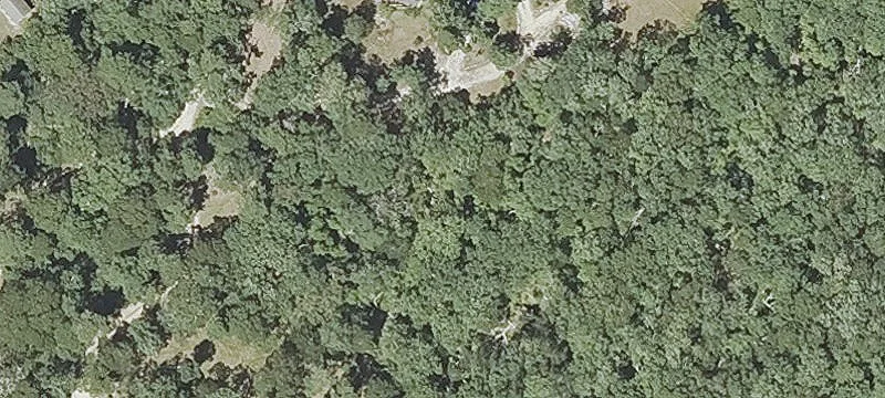 Chappaquiddick Land Near Beach