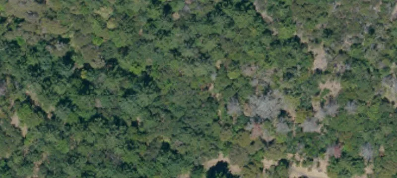 50 Acres in Redwood Valley