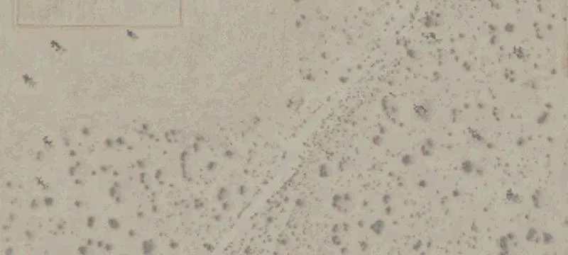 Hi Vista Acreage for Sale