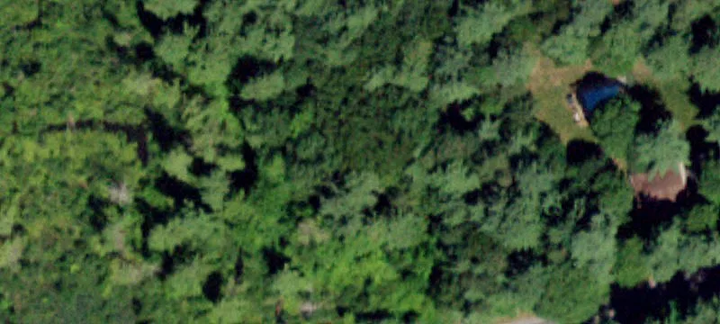 Wooded Building Site For Sale