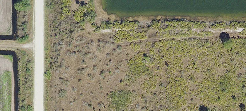Farm and Hunting Land Investment