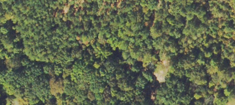 Land For Sale in Madison