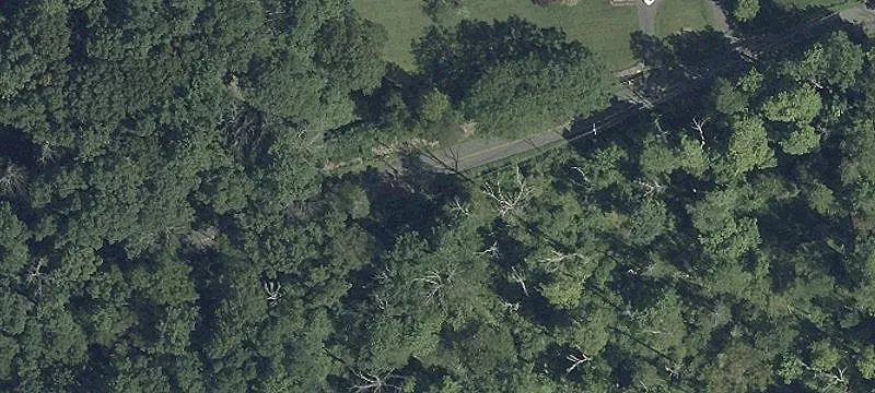 Large Rural Lot with Cabin