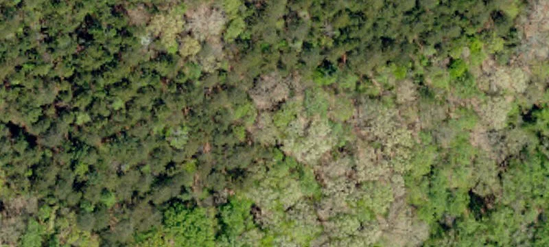 Recreational Land in Woodruff, SC