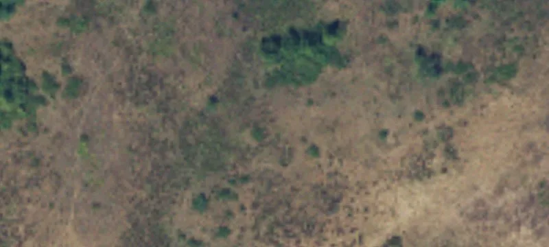 30 Acres Pasture Land Eatonville