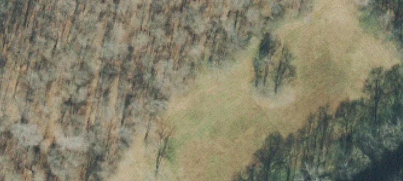 Giles County Farmland Opportunity