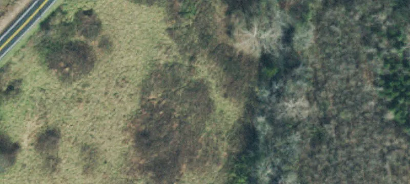 College Grove Acreage with Septic