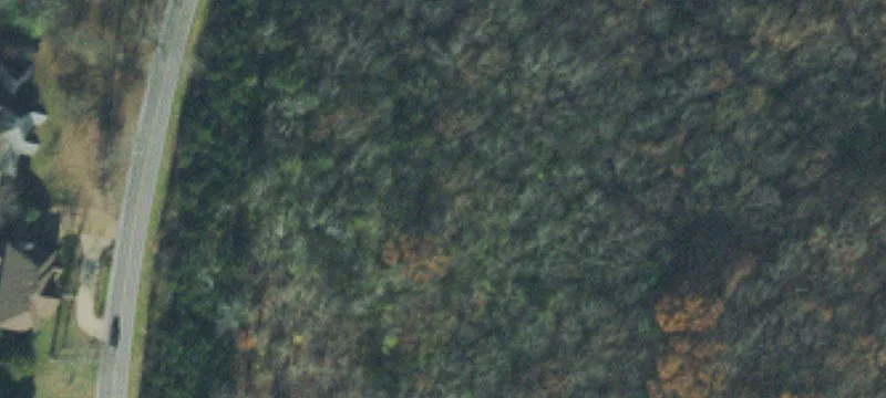 Franklin TN Hillside Property